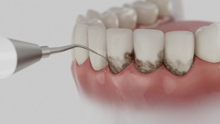 Reliable Dental contractor in Oakley, UT by Dentist Open Now
